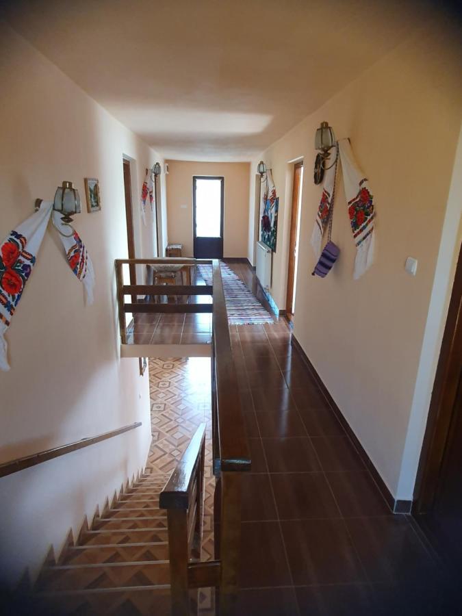 Cabana Georgiana Maria Ghetari Buitenkant foto